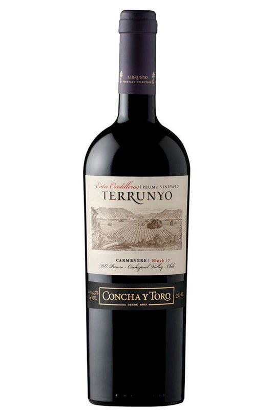 Concha Y Toro Terrunyo Entre Cordilleras Block 17 Carmenere 2013