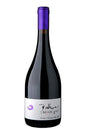 Polkura Block g+I Syrah 2008