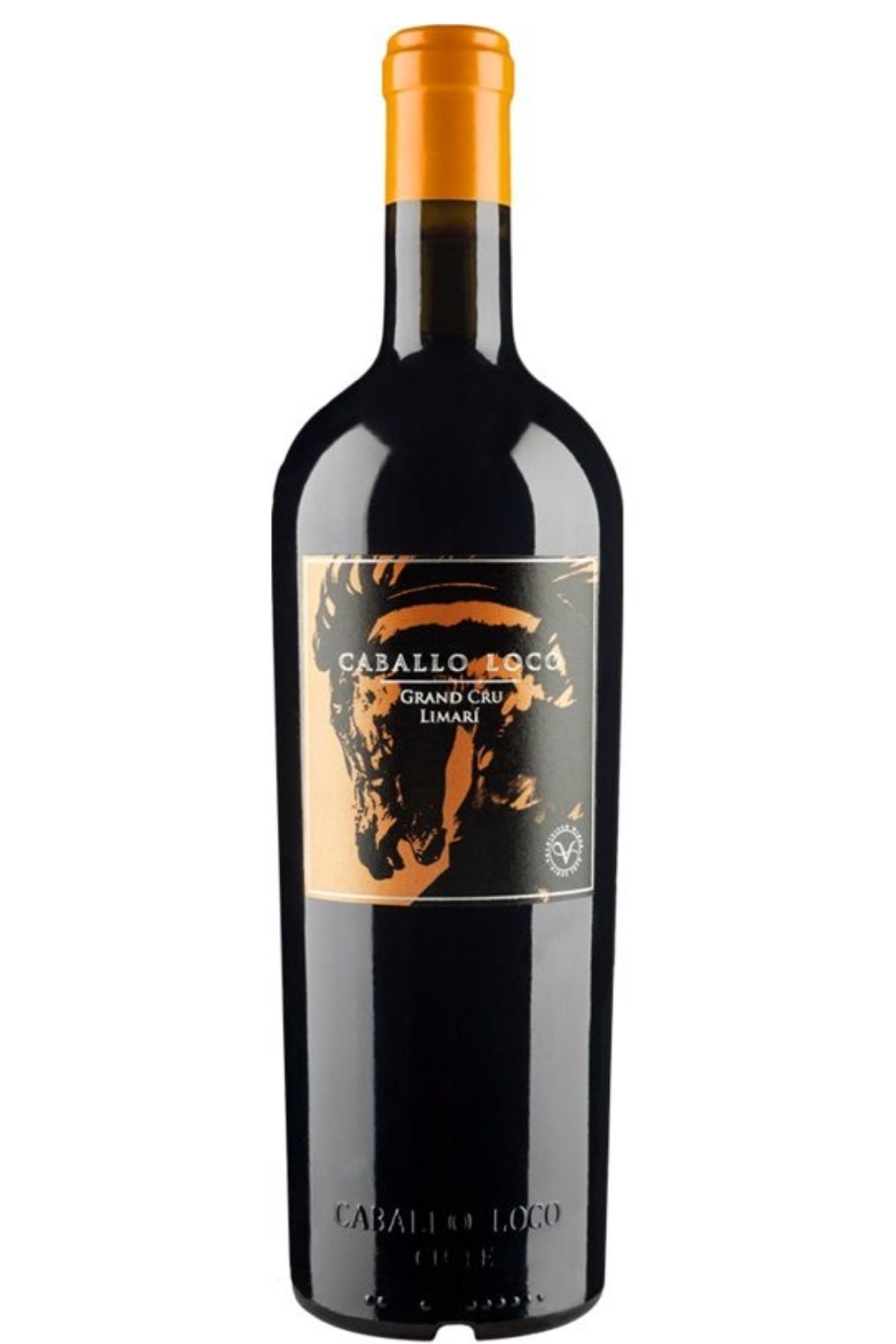 Valdivieso Caballo Loco Grand Limari Syrah 2012